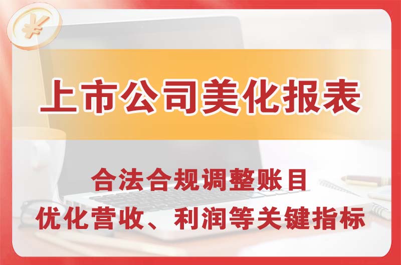 西藏上市公司美化报表